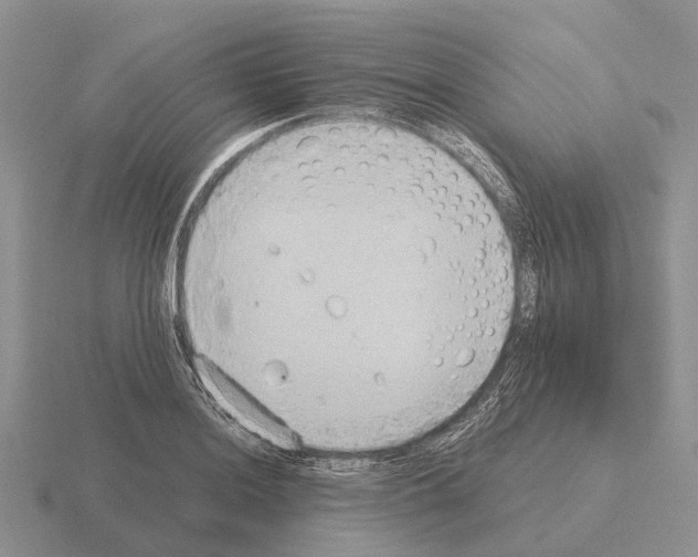 X0000115441036200912161450