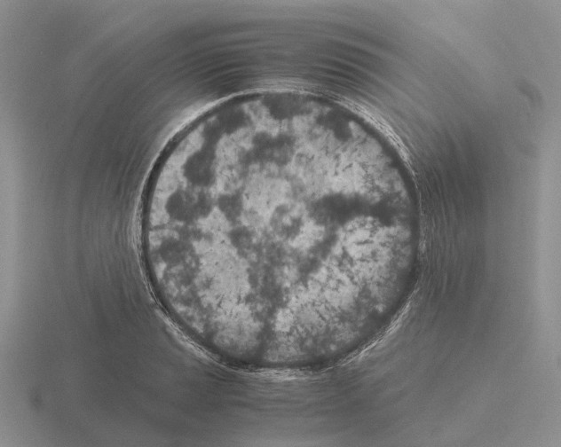 X0000115441037200912161450