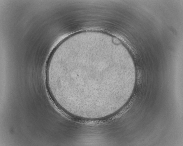 X0000115441038200912161450