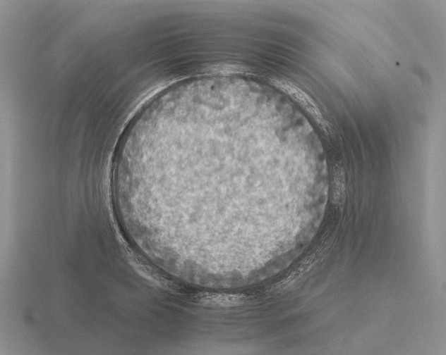 X0000115441039200912161450