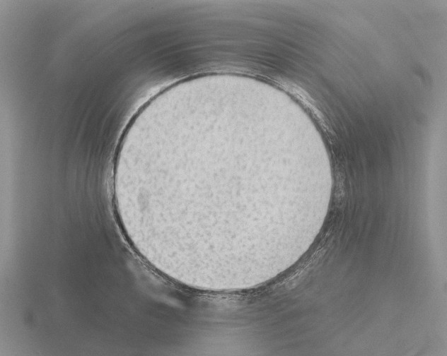 X0000115441040200912161450