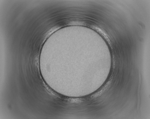 X0000115441041200912161450