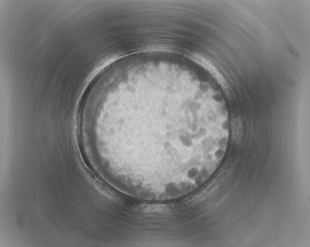 X0000115441043200912161450