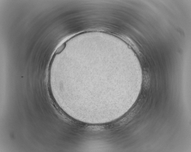 X0000115441044200912161450