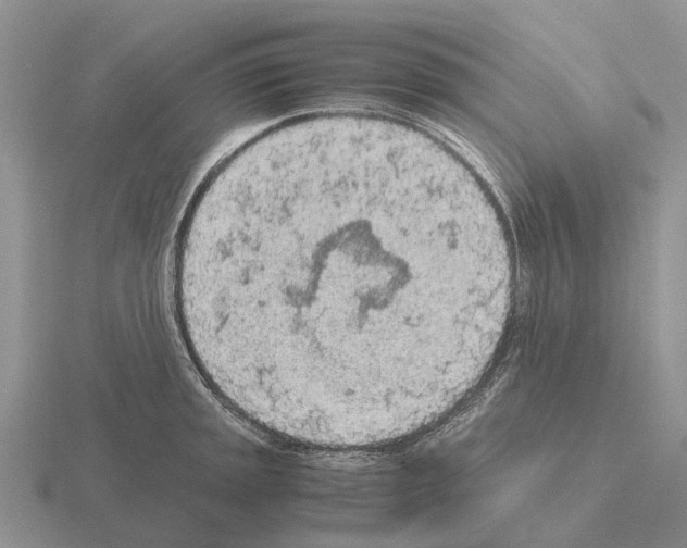 X0000115441045200912161450