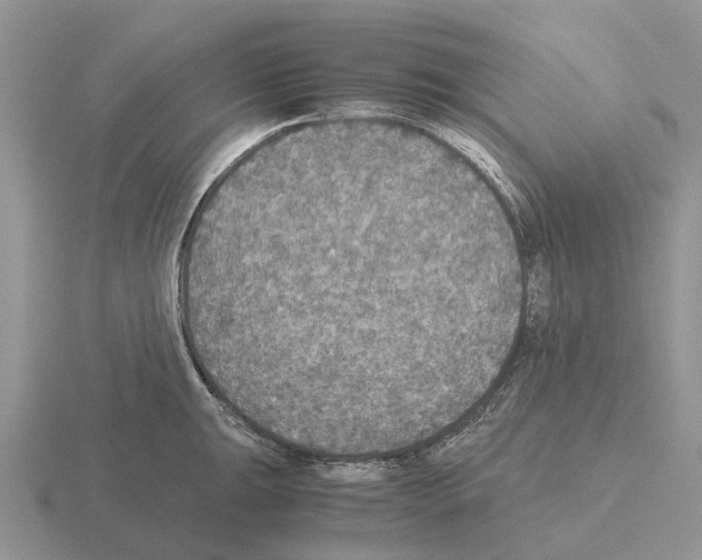 X0000115441047200912161450