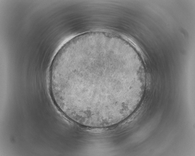 X0000115441048200912161450