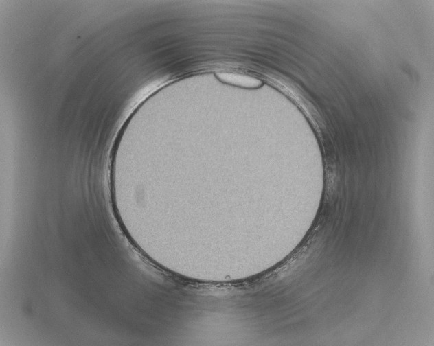 X0000115441050200912161450