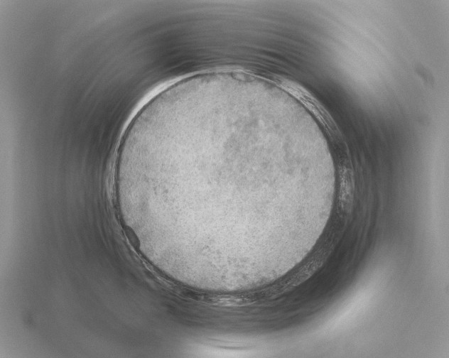 X0000115441052200912161450