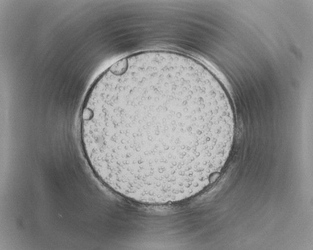 X0000115441053200912161450