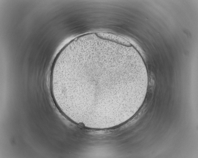 X0000115441054200912161450