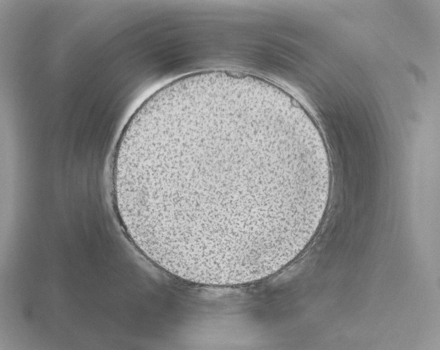 X0000115441056200912161450