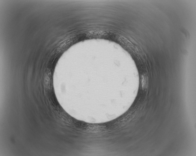 X0000115441059200912161450