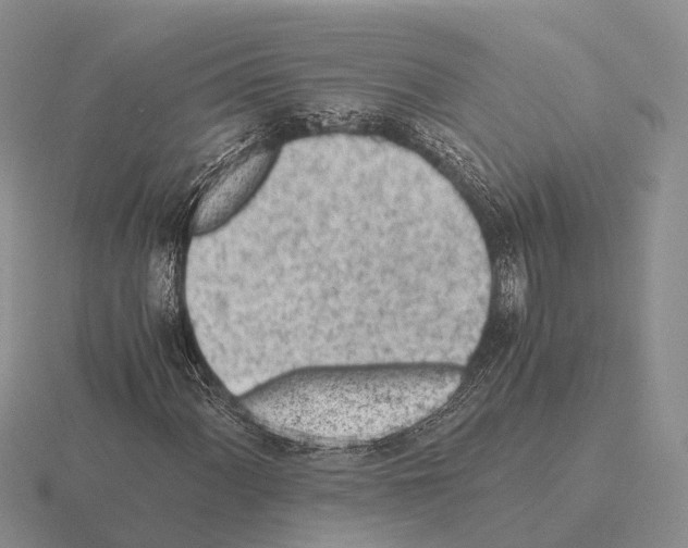 X0000115441060200912161450