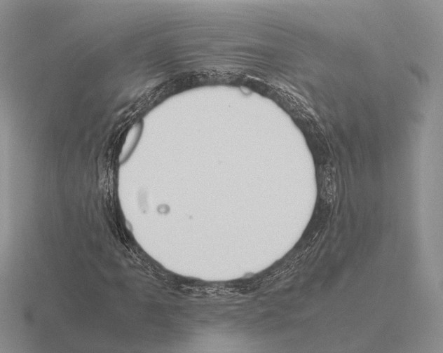 X0000115441061200912161450