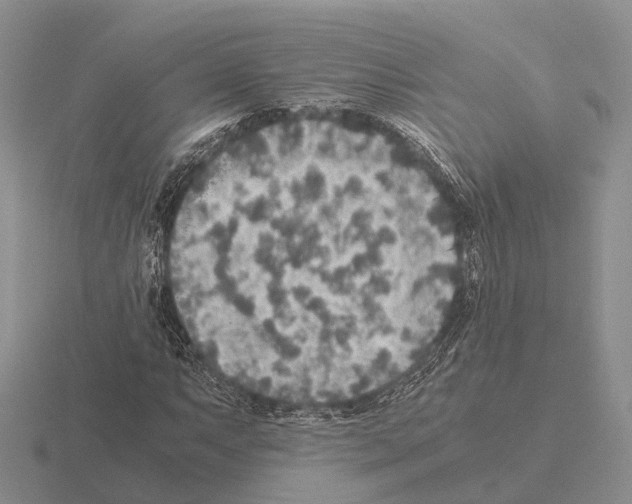 X0000115441063200912161450