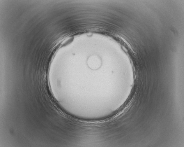 X0000115441065200912161450