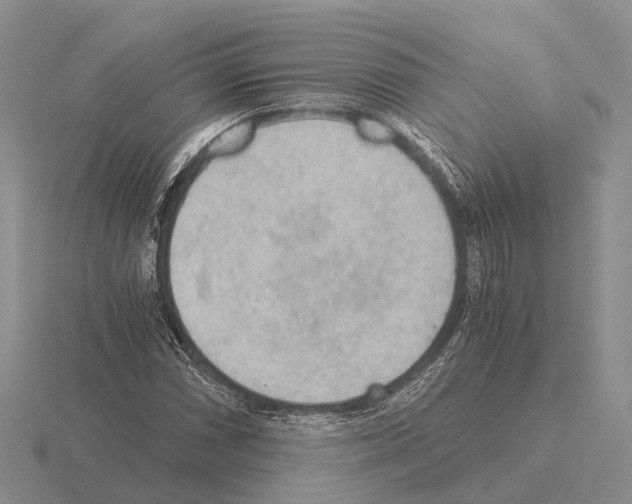 X0000115441066200912161450