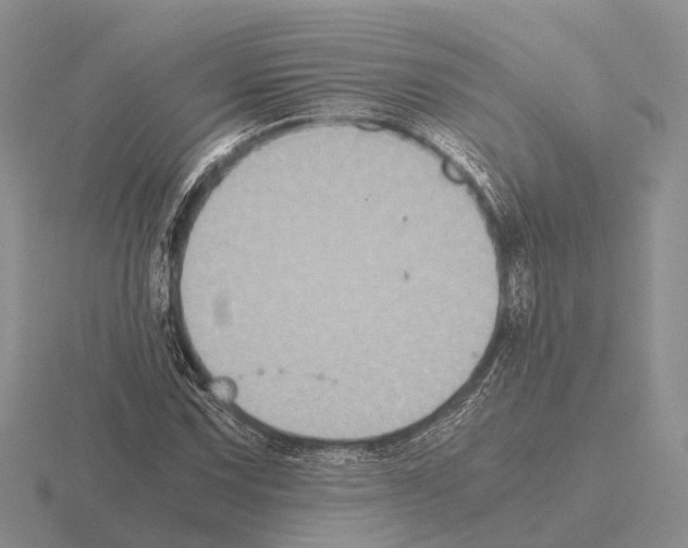 X0000115441067200912161450