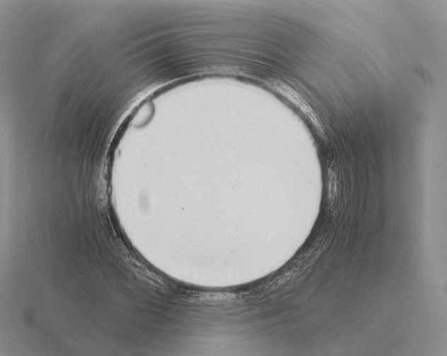 X0000115441068200912161450