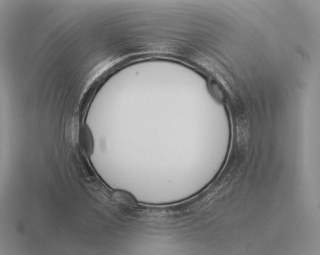 X0000115441069200912161450