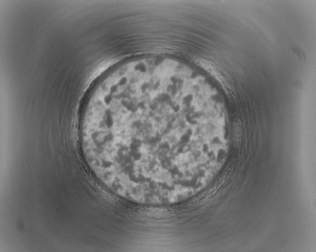 X0000115441071200912161450