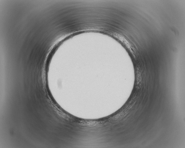 X0000115441072200912161450