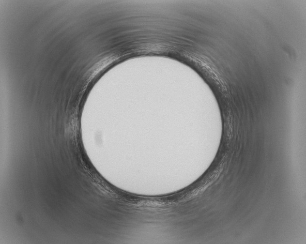 X0000115441073200912161450