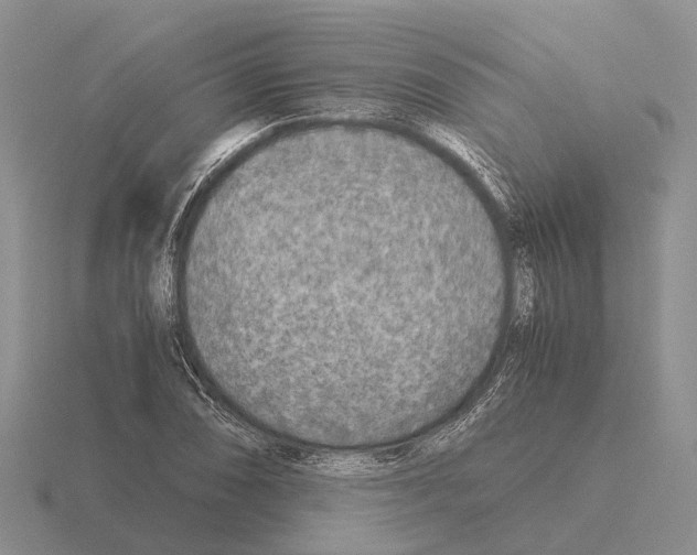 X0000115441074200912161450