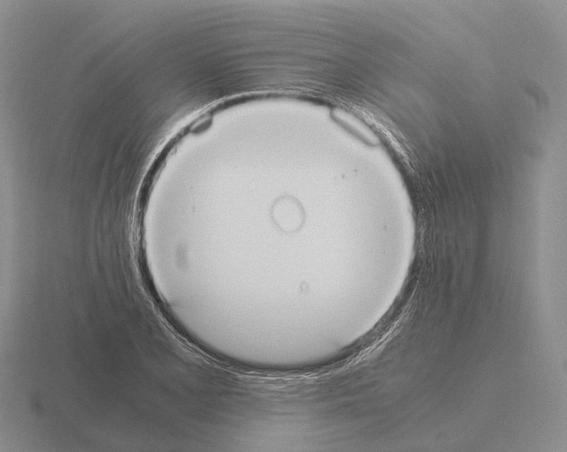 X0000115441077200912161450