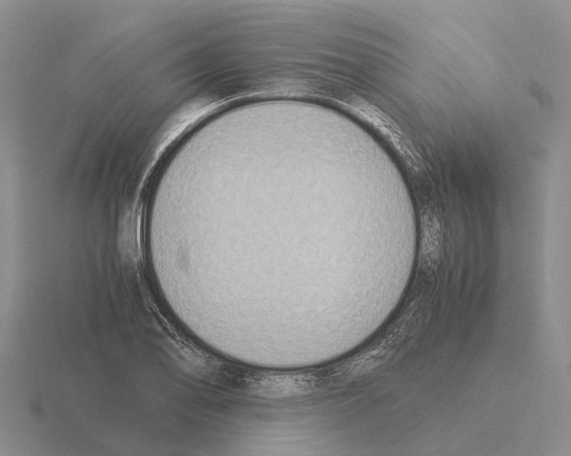 X0000115441078200912161450