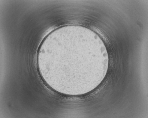 X0000115441079200912161450