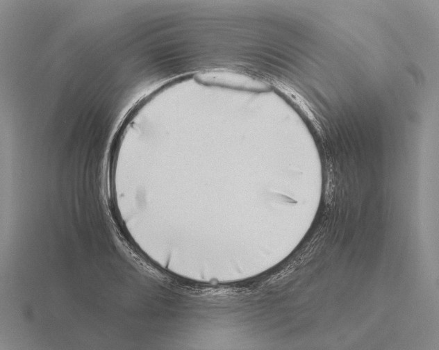 X0000115441080200912161450