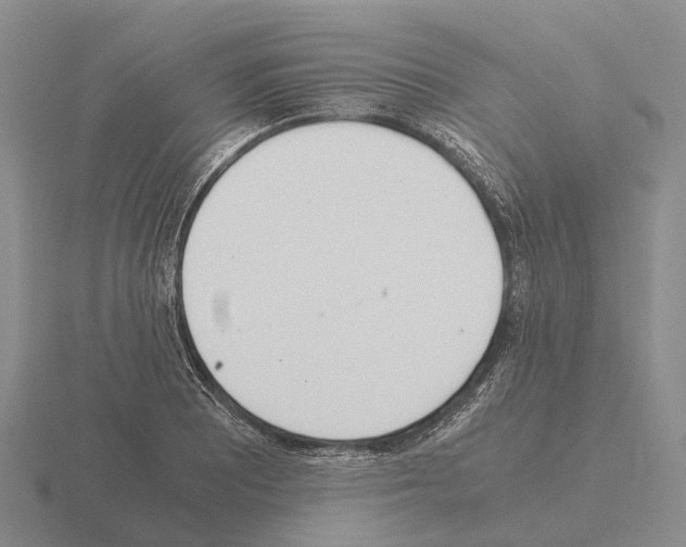 X0000115441081200912161450