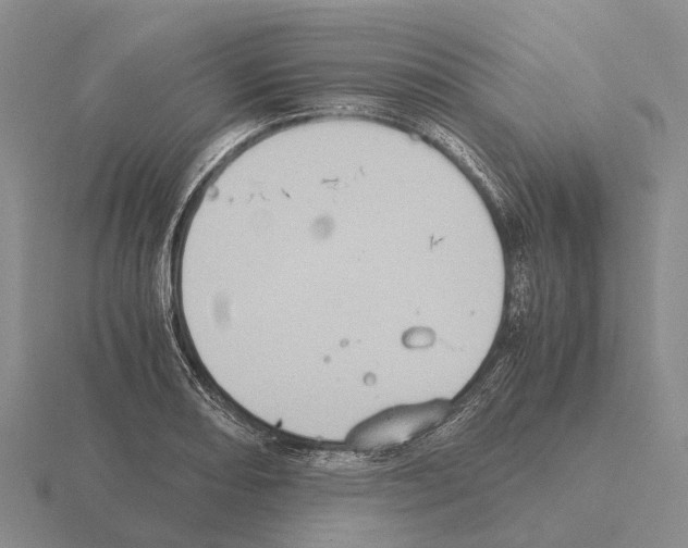 X0000115441082200912161450