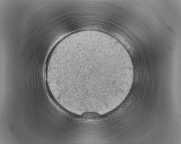 X0000115441084200912161449