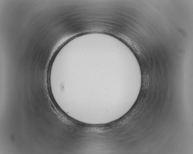 X0000115441086200912161449