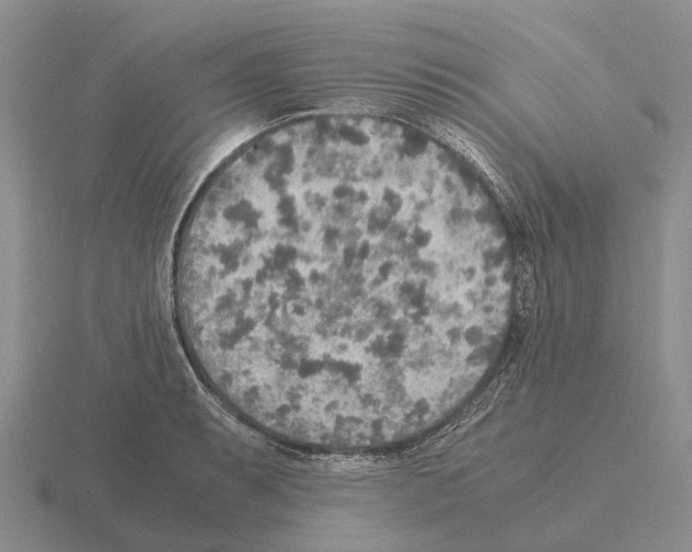 X0000115441087200912161449