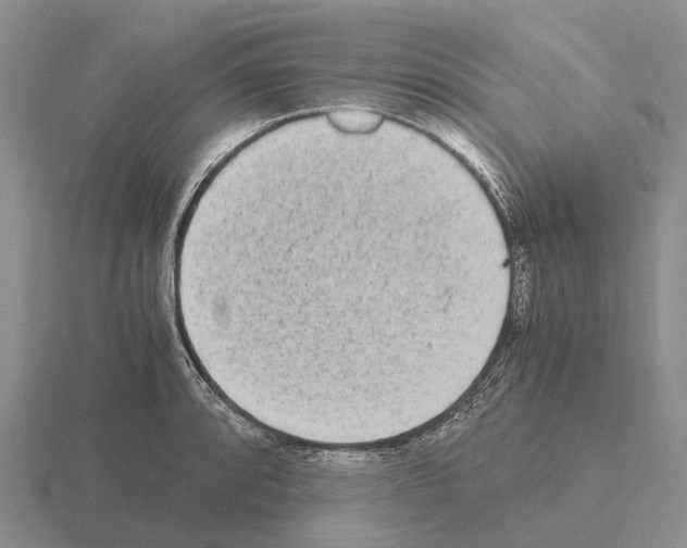 X0000115441088200912161449