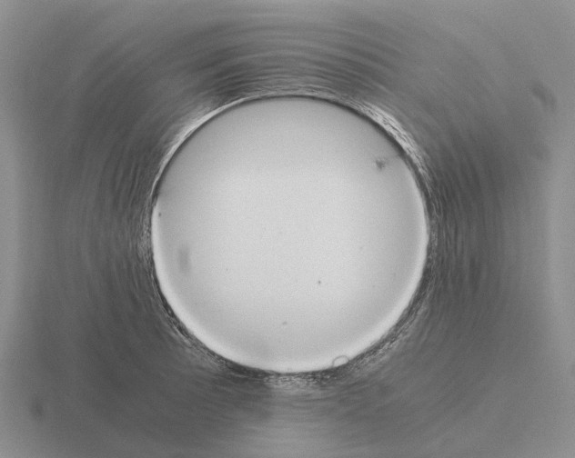 X0000115441089200912161449