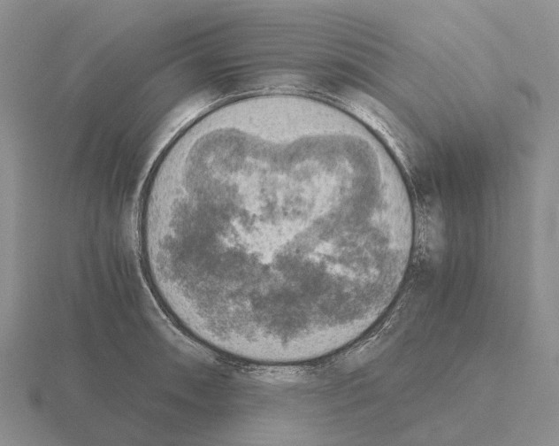 X0000115441090200912161449