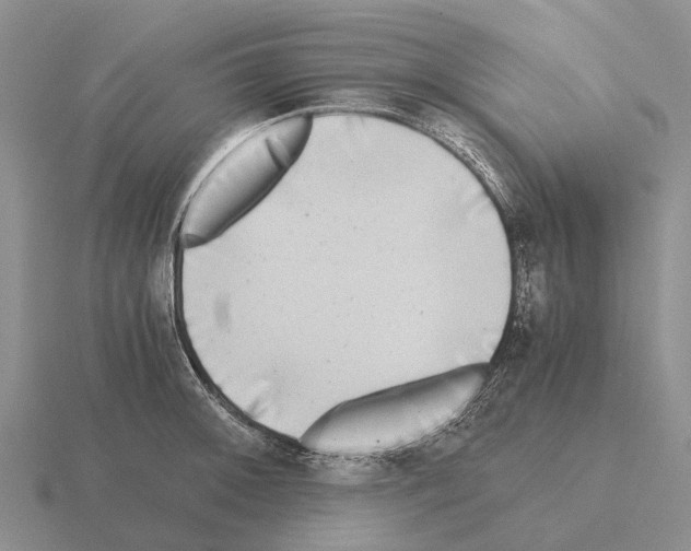 X0000115441092200912161449