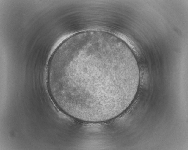 X0000115441094200912161449