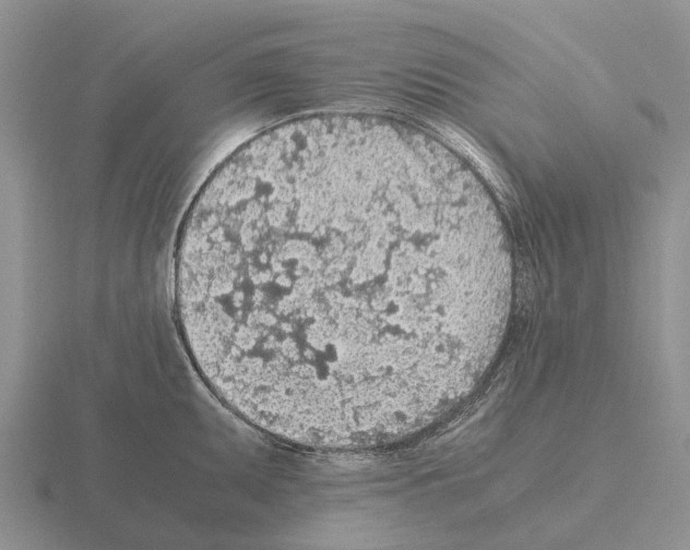 X0000115441095200912161449