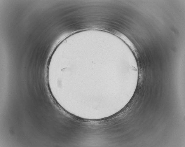 X0000115441096200912161449