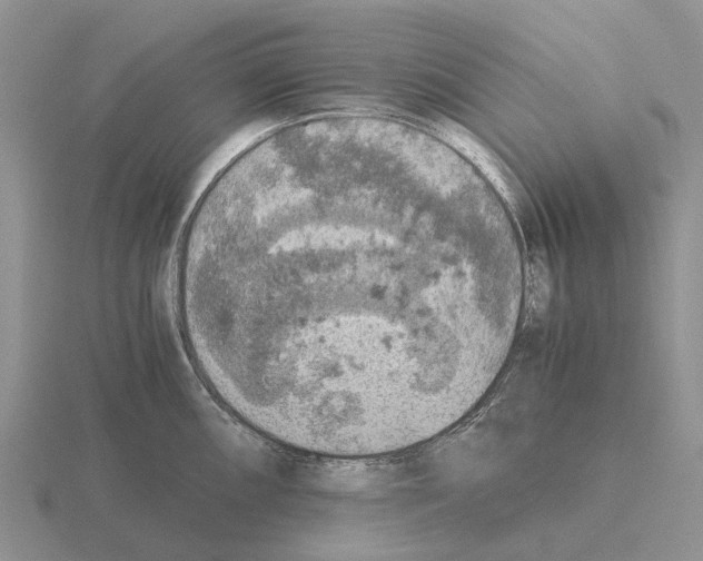 X0000115441098200912161449