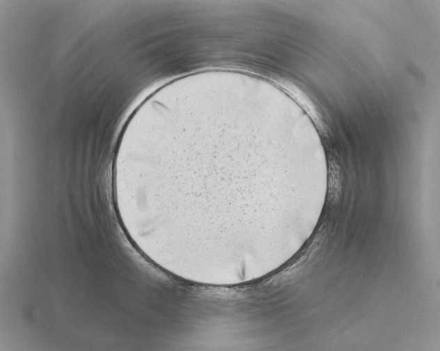 X0000115441100200912161449