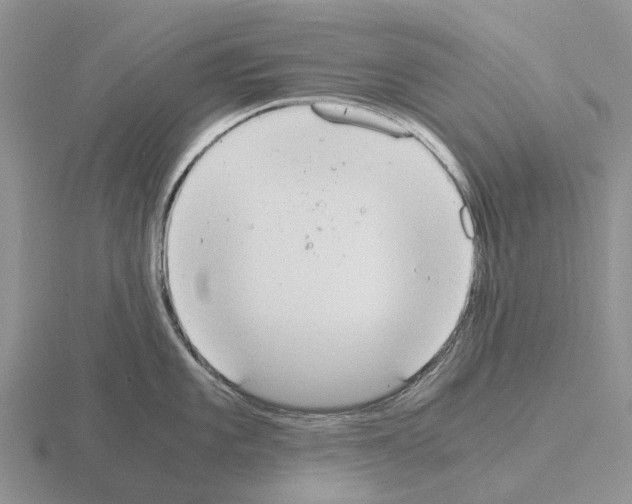 X0000115441101200912161449