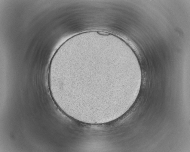 X0000115441102200912161449