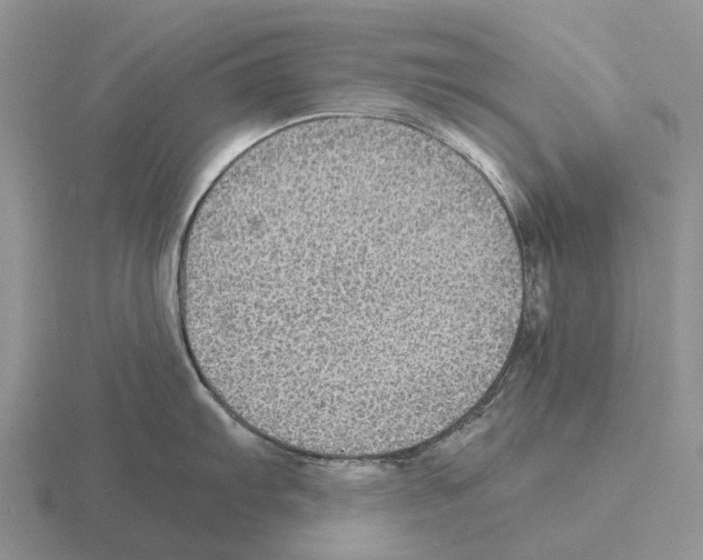 X0000115441103200912161449